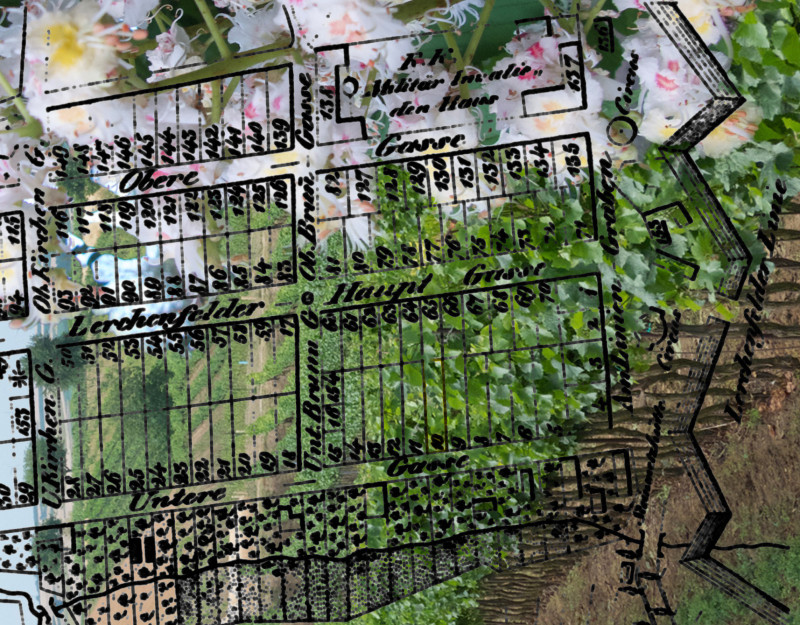 2024_grundstein_Gassner-Grundstein 2024_grundstein_Gassner-Grundstein